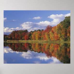 Pôster EUA, Massachusetts, Acton. Reflexo do outono
