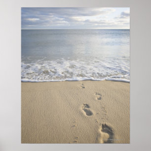 Poster EUA, Massachusetts, Cape Cod, pegadas sobre