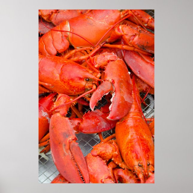 Pôster EUA, Massachusetts, Ilha de Martha's Vineyard (Frente)