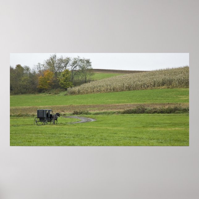 Poster EUA, nordeste de Ohio. Bugre Amish em fazenda (Frente)