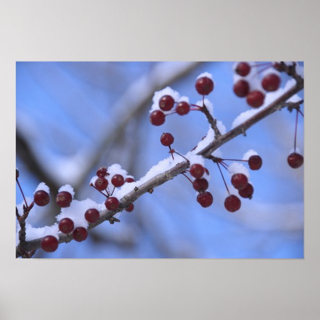 Poster EUA, Nova Inglaterra, Massachusetts, Reading, 3 (Frente)