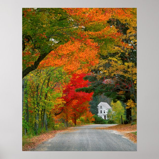 Poster EUA, Nova Inglaterra, New Hampshire, Andover (Frente)