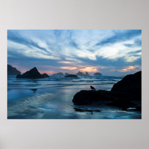 Pôster EUA, Oregon, Bandon Beach. Gaivota na rocha