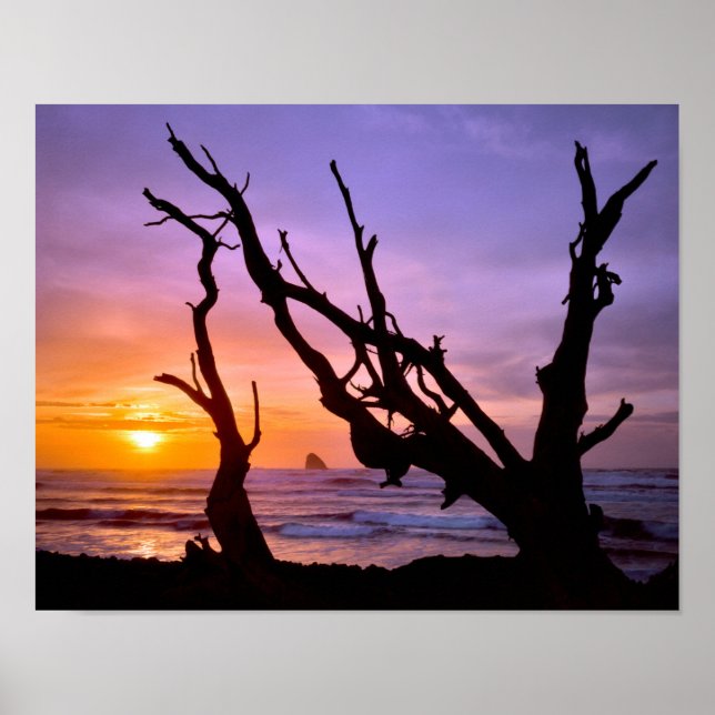 Poster EUA, Oregon, Cape Meares. Pôr do sol (Frente)