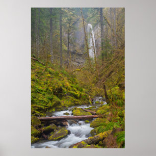 Poster EUA, Oregon, Columbia Gorge