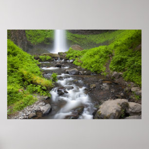 Poster EUA, Oregon, Columbia River Gorge, Latourell