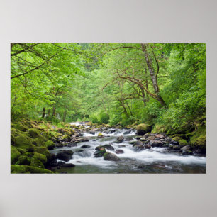Poster EUA, Oregon, Columbia River Gorge, Tanner Creek 4