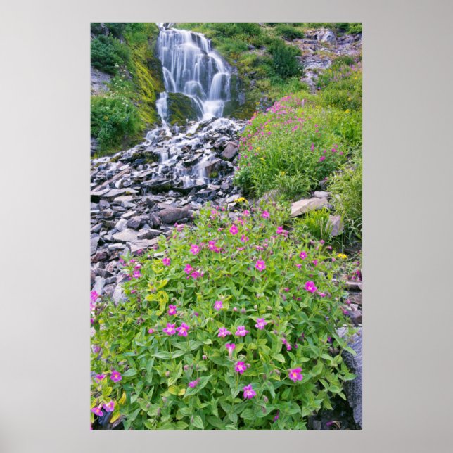 Pôster EUA, Oregon, Crater Lake National Park (Frente)