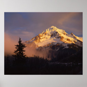 Poster EUA, Oregon, Floresta Nacional de Mt. Hood. Roland