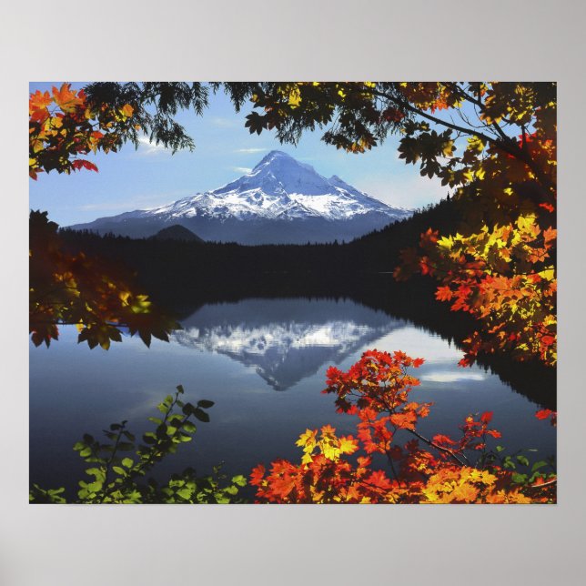 Poster EUA, Oregon, Floresta Nacional do Monte Hood. (Frente)