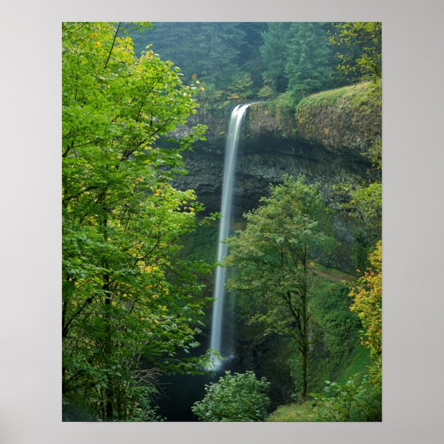 Pôster EUA, Oregon, Parque Estadual Silver Falls (Frente)