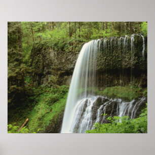 Pôster EUA, Oregon, Parque Estadual Silver Falls. Baixo