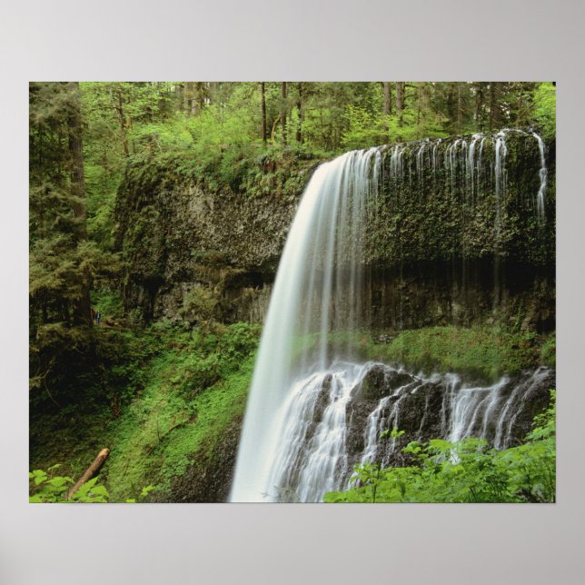 Pôster EUA, Oregon, Parque Estadual Silver Falls. Baixo (Frente)