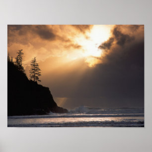 Pôster EUA, Oregon, perto de Oswald West State Park, Late