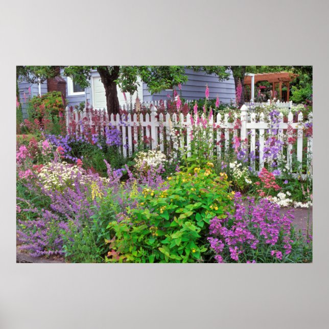 Poster EUA, Oregon, Portland. Explosão De Springtime (Frente)