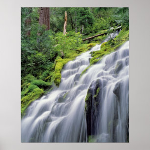 Pôster EUA, Oregon, Proxy Falls. Proxy Falls corre