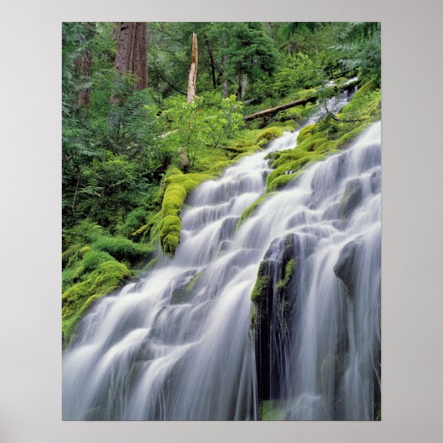 Pôster EUA, Oregon, Proxy Falls. Proxy Falls corre (Frente)