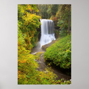 Poster EUA, Oregon, Silver Falls State Park 3