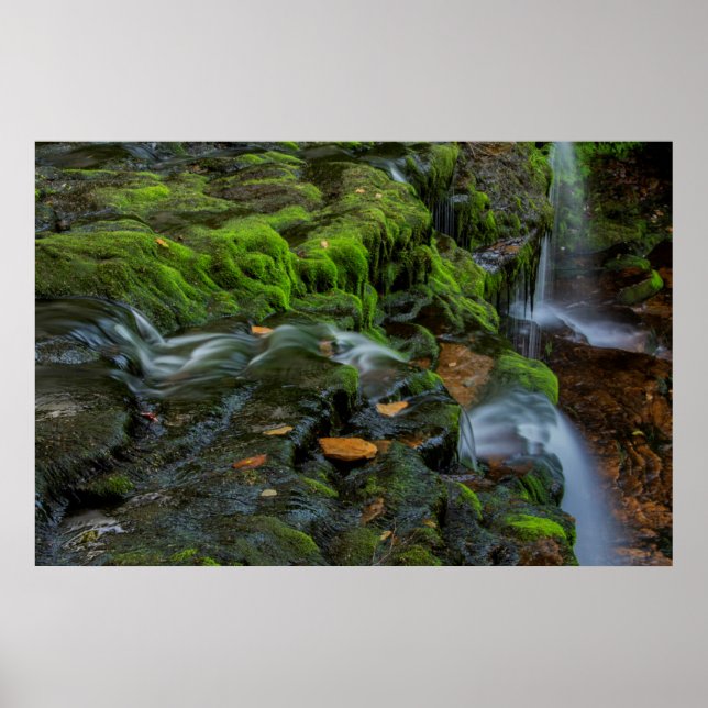 Pôster EUA, Pensilvânia, Benton, Rickets Glen State (Frente)