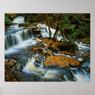 Pôster EUA, Pensilvânia, Parque Estadual Ricketts Glen