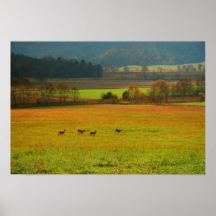 Poster EUA, Tennessee. Cades Cove em Smoky Mountain 2