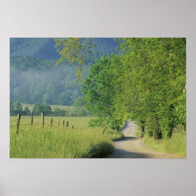 Pôster EUA, Tennessee, Montanhas Enfumaçados Excelentes N (Frente)