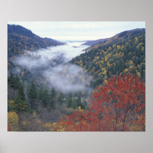 Pôster EUA, Tennessee, Parque Nacional Grandes Montanhas