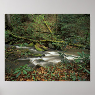 Pôster EUA, Tennessee. Rio Nacional Big South Fork