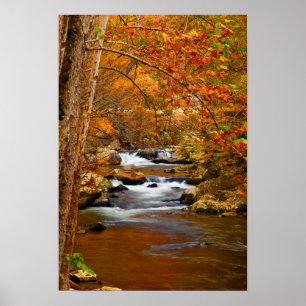 Poster EUA, Tennessee. Rushing Mountain Creek