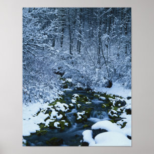 Pôster EUA, Utah, Floresta Nacional de Captura de Wasatch