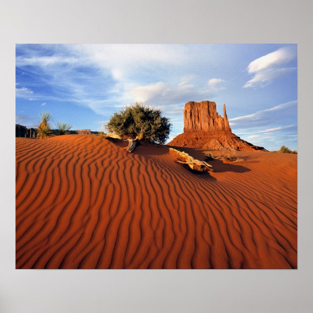 Pôster EUA, Utah, Monument Valley. Vento cria (Frente)