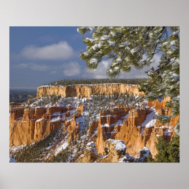 Poster EUA, Utah, Parque Nacional Bryce Canyon. Nascer do (Frente)
