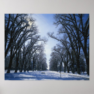 Pôster EUA, Utah, Salt Lake City, Liberty Park