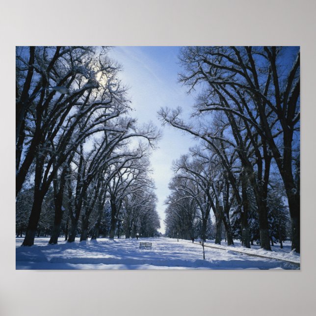 Pôster EUA, Utah, Salt Lake City, Liberty Park (Frente)