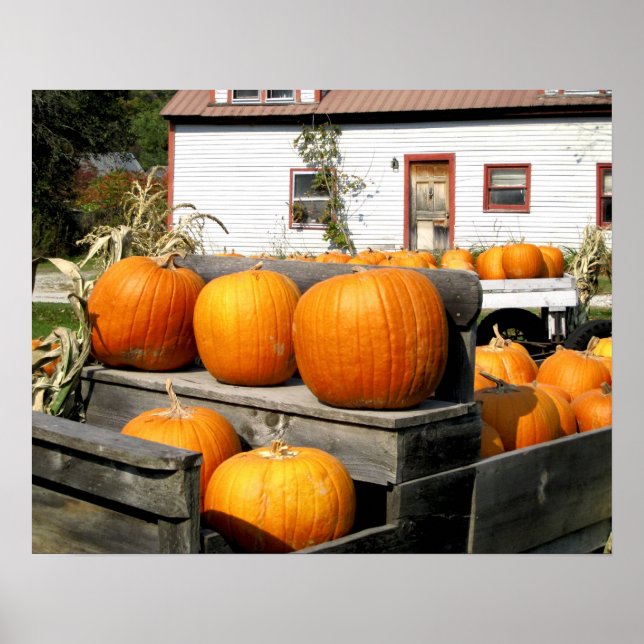 Poster EUA, Vermont. Pumpkins (Frente)