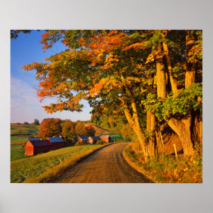 Poster EUA, Vermont, South Woodstock