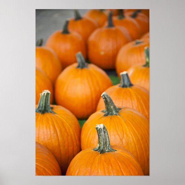 Poster EUA, Virgínia Ocidental, Charleston. Capitol 2 (Frente)