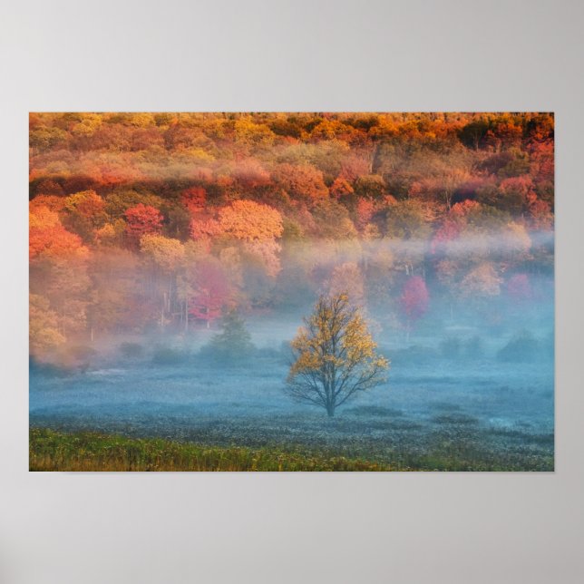 Pôster EUA, Virgínia Ocidental, Davis. Misty Valley e (Frente)