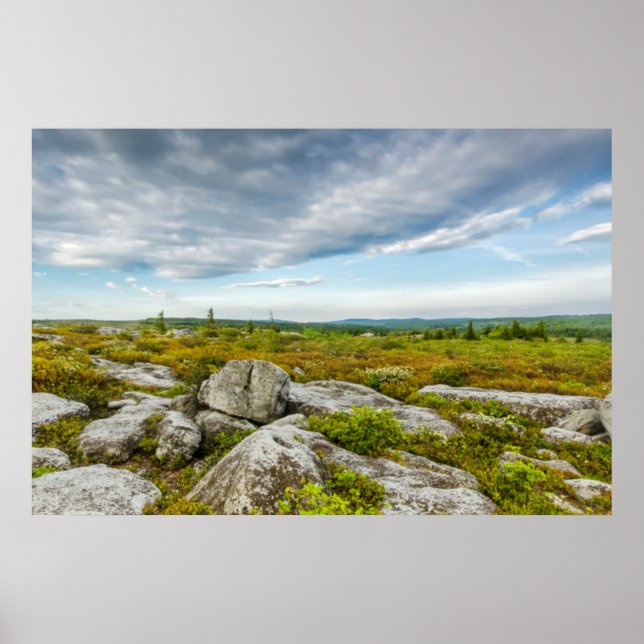 Poster EUA, Virgínia Ocidental, Davis. Paisagem Em Dolly (Frente)