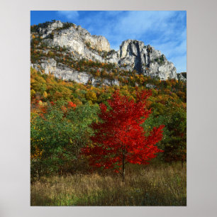 Pôster EUA, Virgínia Ocidental, Spruce Knob-Seneca Rocks