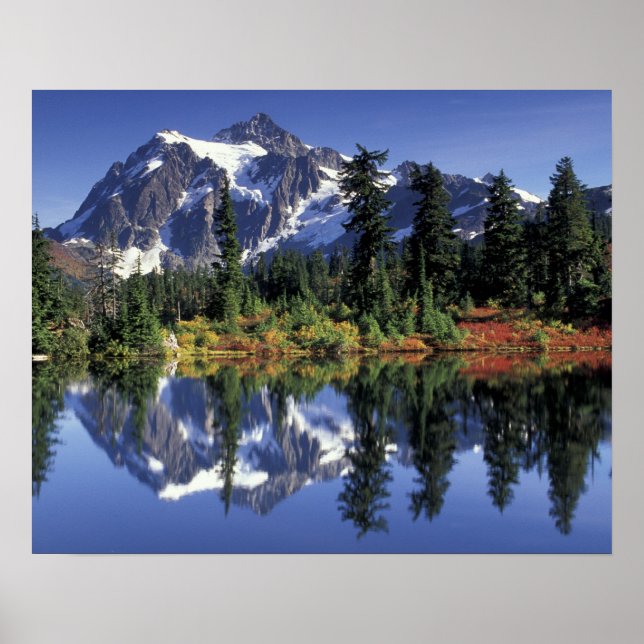 Poster EUA, WA, Heather Meadows RA. Monte Shuksan em (Frente)