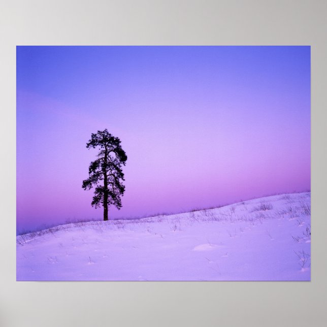 Poster EUA, Washington, Condado de Spokane, Riverside (Frente)