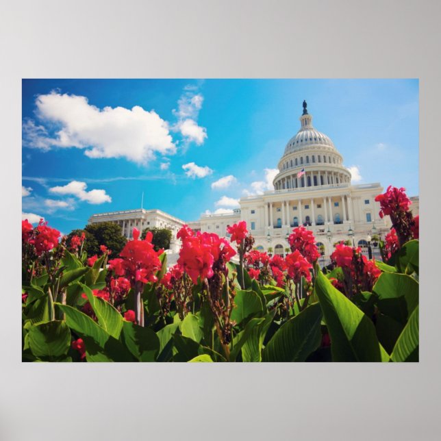 Poster EUA, Washington DC, Capitol Building (Frente)