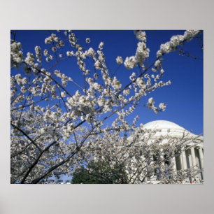 Pôster EUA, Washington DC. Festival das Cerejeiras em Flo