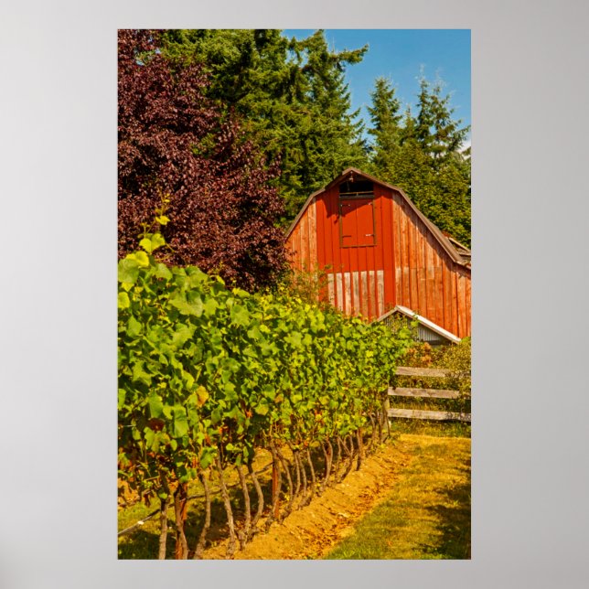 Poster EUA, Washington, Ilha Whidbey. Vinho (Frente)