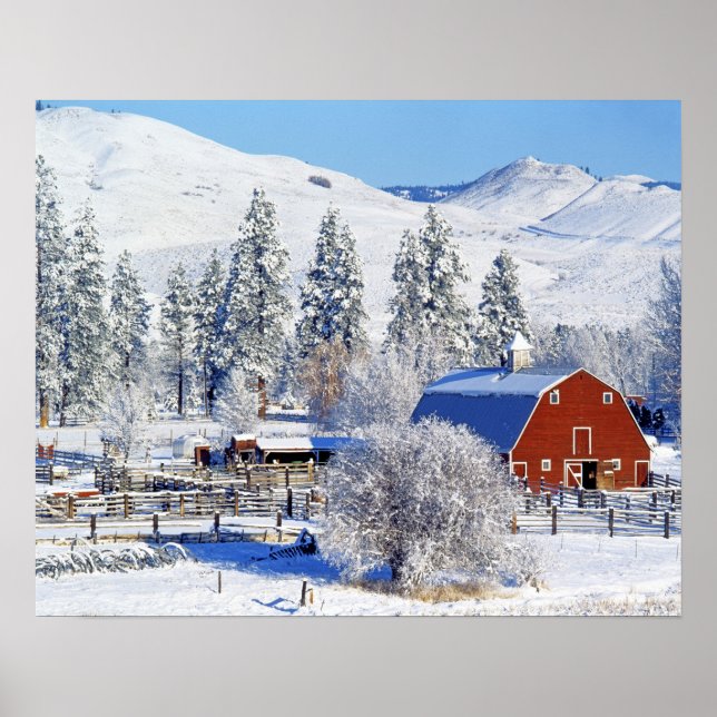 Poster EUA, Washington, Methow Valley, Barns in (Frente)