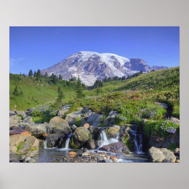 Poster EUA, Washington, Monte Rainier NP, Monte Rainier e (Frente)
