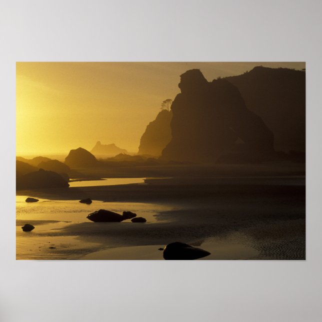 Poster EUA, Washington, Olimpiadas Nat'l Park, Sunset, (Frente)