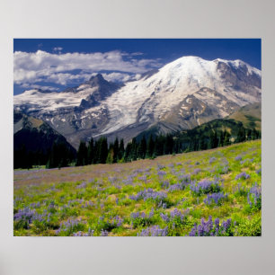 Pôster EUA, Washington, Parque Nacional Mt. Rainier.