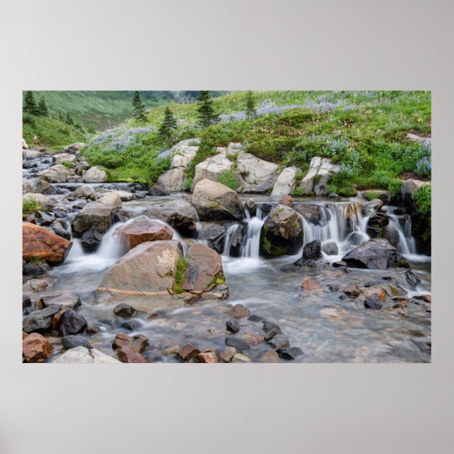 Poster EUA, Washington, Parque Nacional Mt. Rainier 3 (Frente)